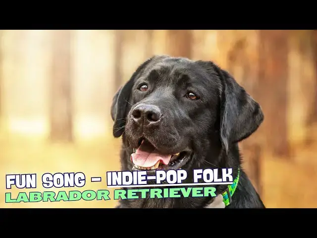 Video thumbnail for 🎶 "Labrador Chaos" - A Fun Song about Labrador Retrievers! 🐾
