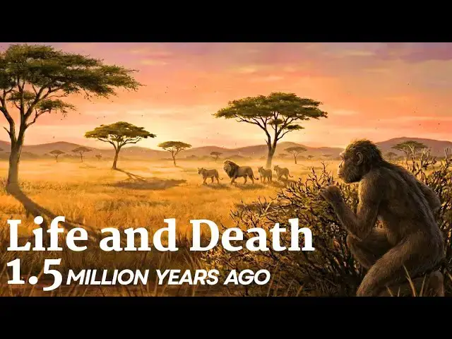 Video thumbnail for Life and Death 1,500,000 Years Ago