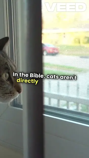Video thumbnail for Top 10 Biblical Meanings of Cats in Dream