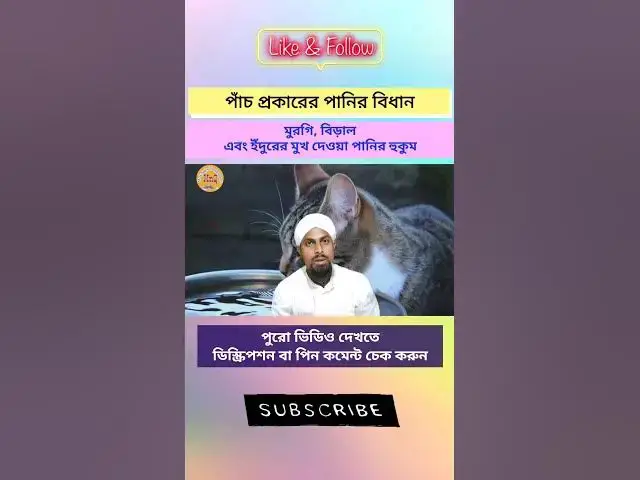 Video thumbnail for মুরগি বিড়াল ও ইঁদুরের পান করা পানির হুকুম,পানির প্রকারভেদ,পানির প্রকার?পানির বিধান কি?(Part-2)#পানি