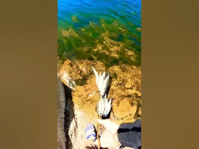 Video thumbnail for Strong Finish to a Day of Fishing #fishinglovers