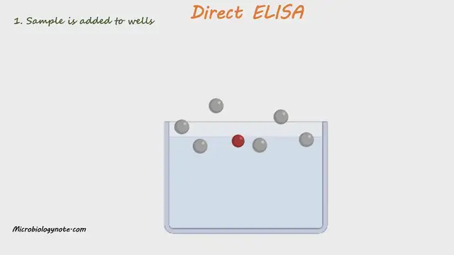 'Video thumbnail for Direct ELISA Principle'