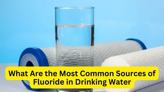 Video thumbnail for What Are the Most Common Sources of Fluoride in Drinking Water