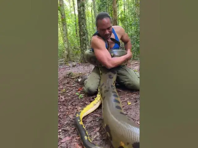 Video thumbnail for Heckler vs Anaconda — Who Wins #CoachCal #StandUpComedy
