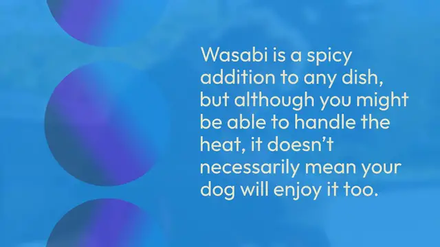 Video thumbnail for Can dogs eat wasabi?