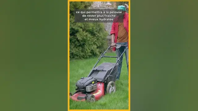 Video thumbnail for 💯 TONDRE LA PELOUSE en été : les astuces à connaître 👩‍🌾 🏡