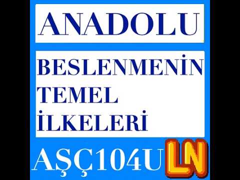 Video thumbnail for AŞÇ104U Beslenmenin Temel İlkeleri 2024-2025 Vize Soruları