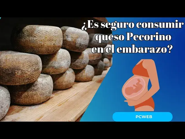 Video thumbnail for ¿Es seguro consumir queso Pecorino durante el embarazo? Descúbrelo aquí