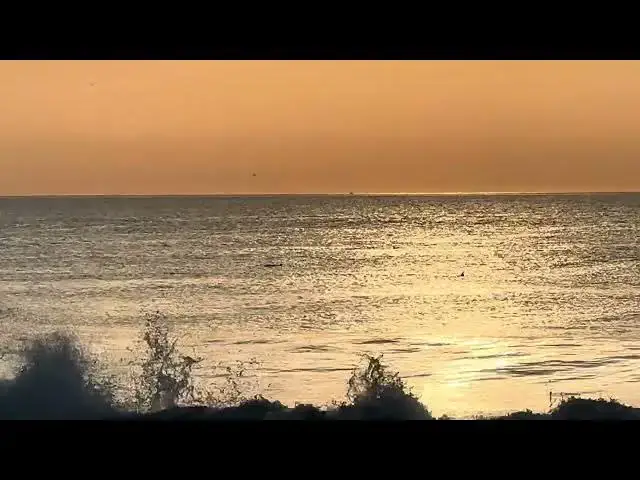 Video thumbnail for Friday Morning Dolphins