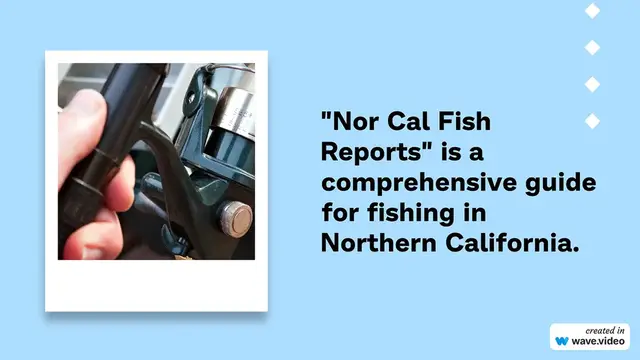'Video thumbnail for Nor Cal Fish Reports'