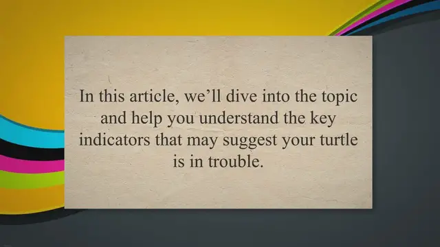 'Video thumbnail for How To Tell If Your Turtle Is Dying?'