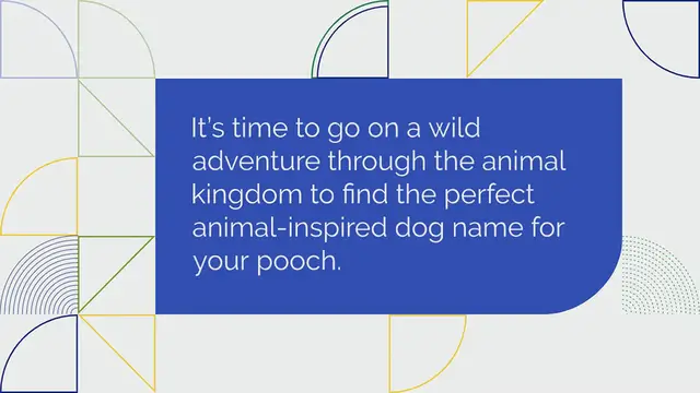 Video thumbnail for 250+ Animal-Inspired Names for Dogs