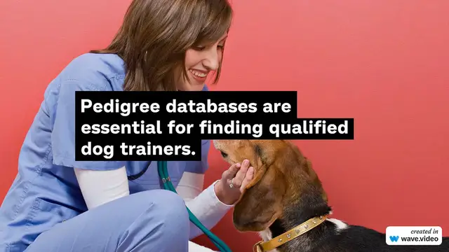 Video thumbnail for Pedigree Database : Find a dog trainer