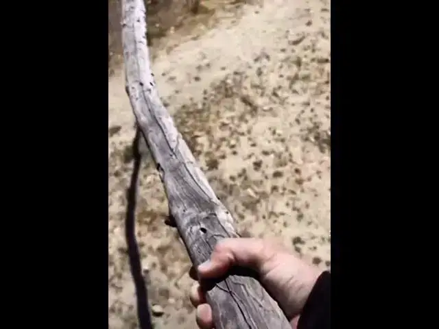 Video thumbnail for Sticks