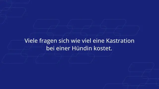 Video thumbnail for Wie viel kostet eine Kastration bei einer Hündin?