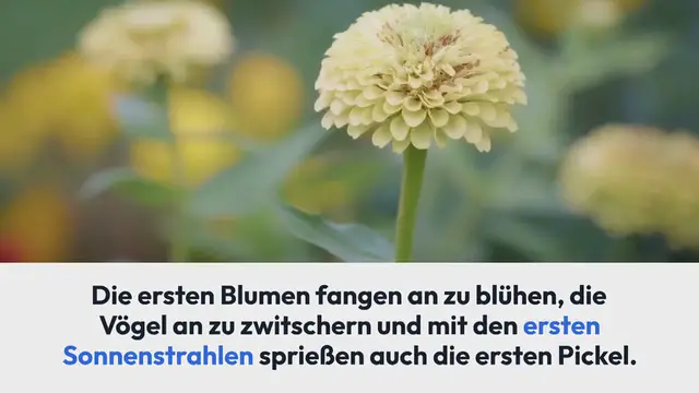 Video thumbnail for Mallorca Akne So behandelt ihr die Symptome der Sonnenallergie