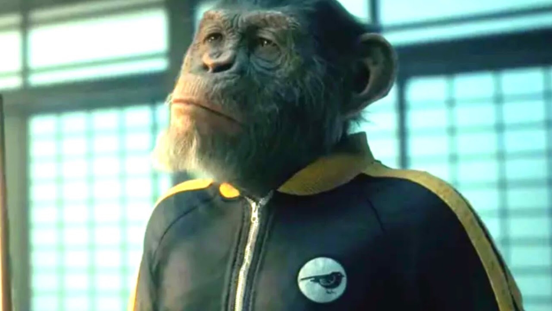 Video thumbnail for The Bruce Lee Homage You May Have Missed In The Umbrella Academy Season 3