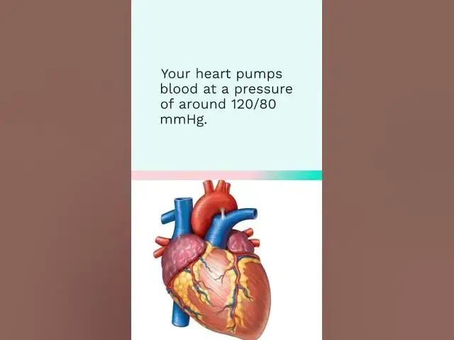 Video thumbnail for You Won't Believe These Incredible Facts About Your Body!