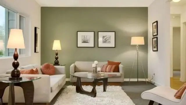 Video thumbnail for Olive color in the interior: video blog