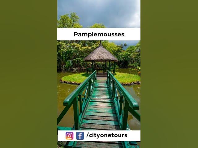 Video thumbnail for Mauritius
