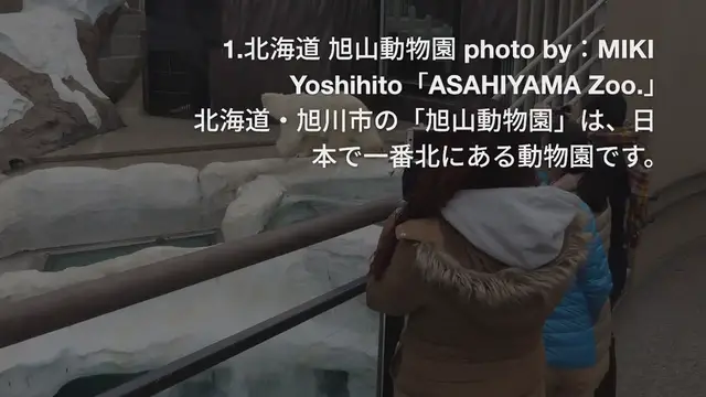 Video thumbnail for 【全国】デートにも観光にもおすすめ！動物達に癒される動物園10選