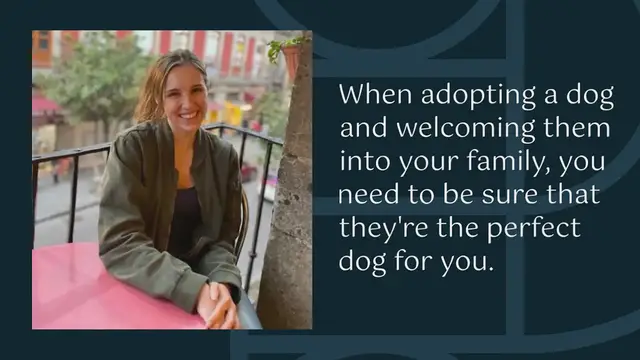 Video thumbnail for Mastiff vs Bloodhound: what are the differences?