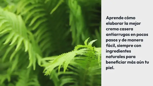 Video thumbnail for Cómo elaborar una crema hidratante antiarrugas en casa de forma sencilla