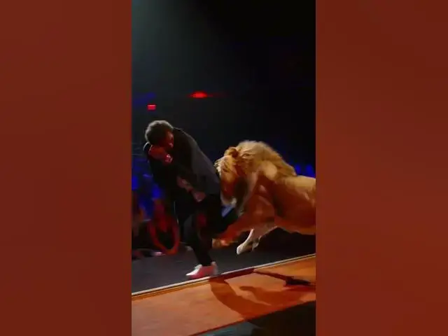 Video thumbnail for Worst Decision Ever Bringing a Lion on Stage #standup #comedy #fail