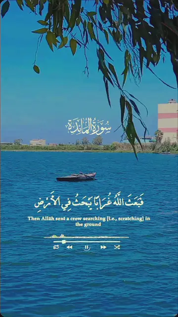 Video thumbnail for تلاوة مؤثرة: قصة قابيل وهابيل من القرآن بصوت الشيخ السيد سعيد