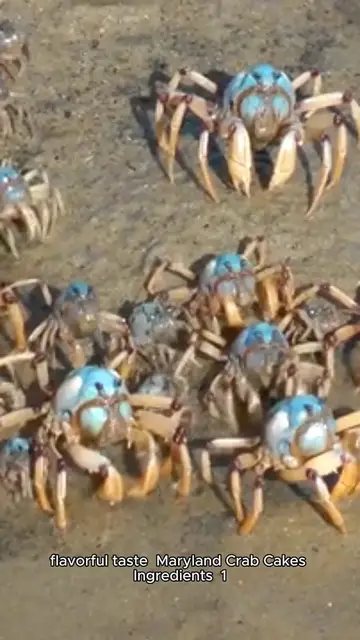 Video thumbnail for red lentil recipe