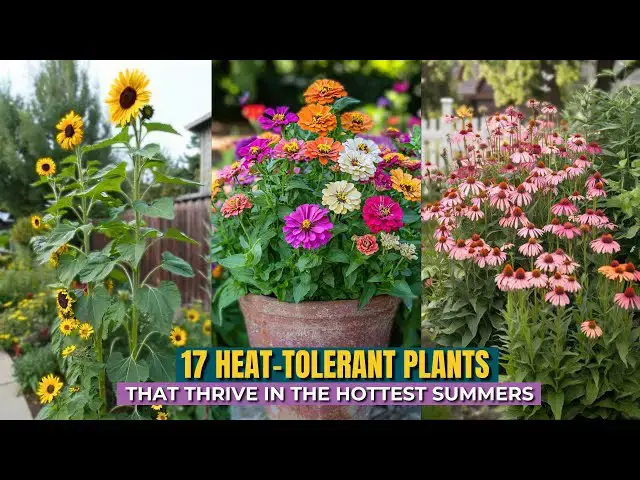 'Video thumbnail for 17 Heat-Tolerant Plants That Thrive in the Hottest Summers'
