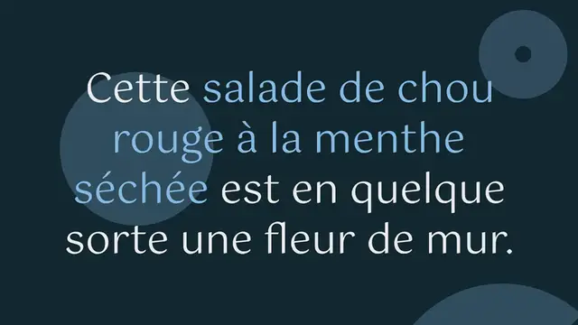 Video thumbnail for Salade de chou rouge à la menthe séchée