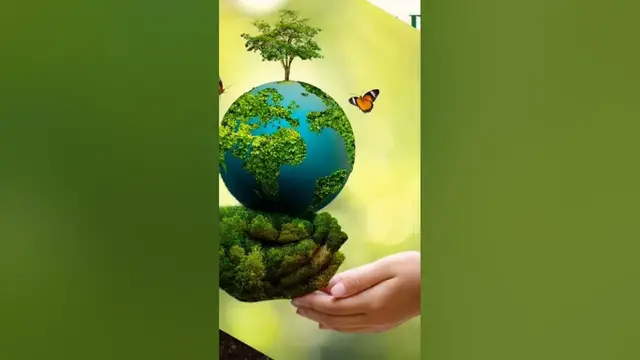'Video thumbnail for On World Environment Day, Safaiwala received a card of honour.'