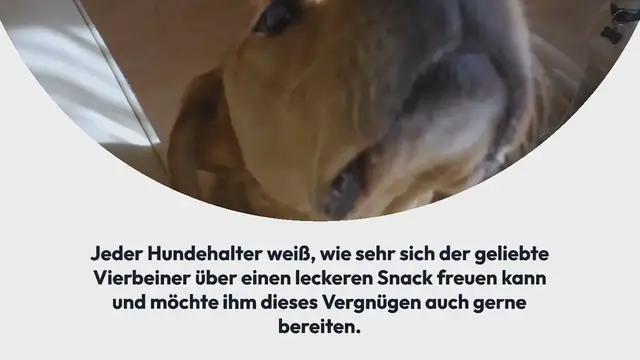 Video thumbnail for Ochsenziemer – Alle (wichtigen) Infos über den gesunden Snack für den Hund