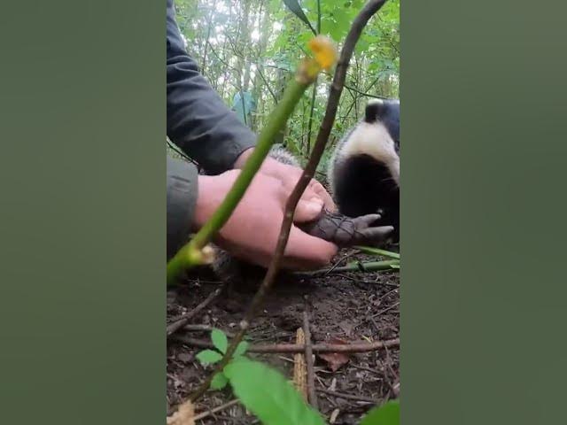 Video thumbnail for Hands Prying Netting in a Tight Forest Thicket