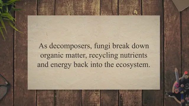 Video thumbnail for Fungi and their importance in decomposition