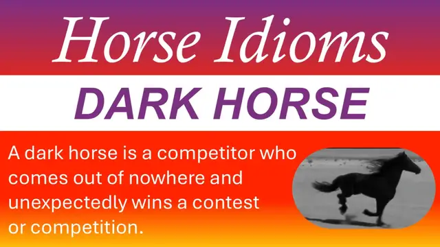 Video thumbnail for Dark Horse Idiom Meaning | Real American English Native Speakers Use