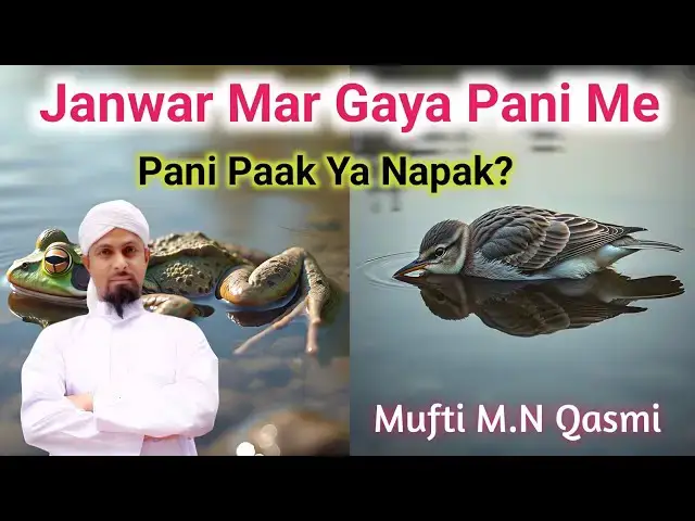 Video thumbnail for Pani Me Mara Hua Janwar Mil Jaye | Pani Paak Hai Ya Napaak? #islamicmaslemasail