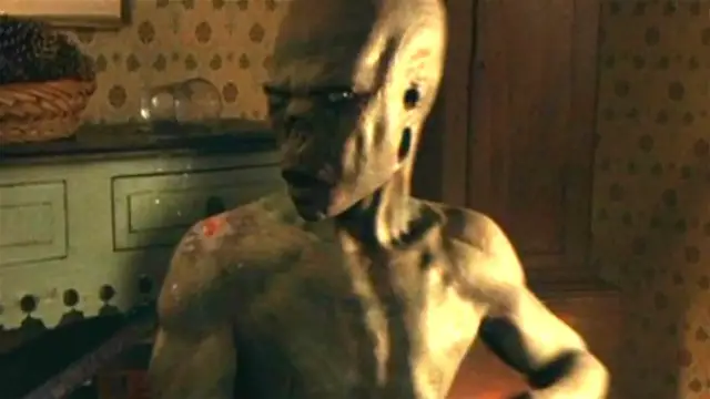 Video thumbnail for The Untold Truth Of Signs