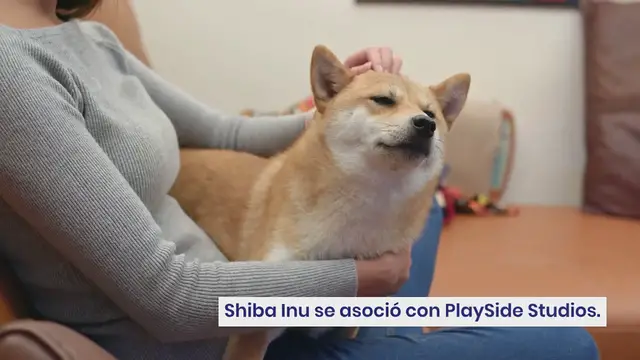 Video thumbnail for Juego de cartas Shiba Inu: conozca la fecha de lanzamiento