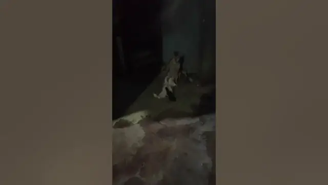 Video thumbnail for omg cat this cat crazy!