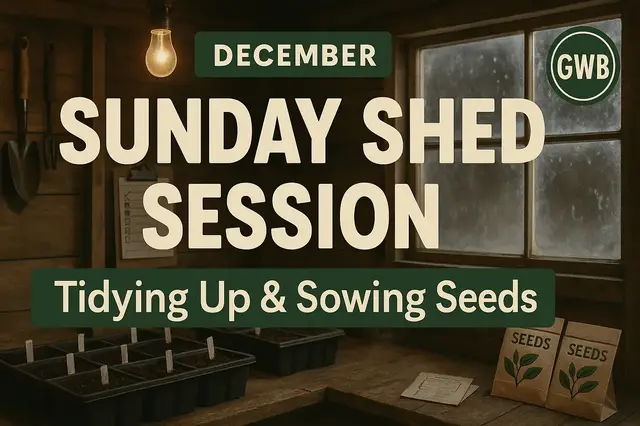 'Video thumbnail for December Sunday Shed Session: Tidying Up and Sowing Seeds'
