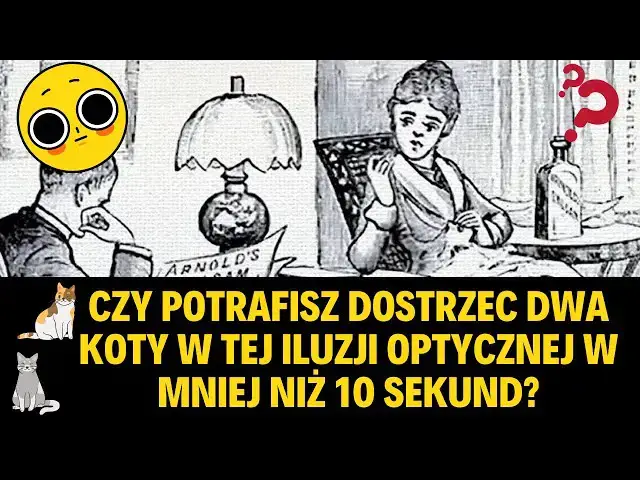 Video thumbnail for Czy potrafisz dostrzec dwa koty w tej iluzji optycznej w mniej niż 10 sekund?