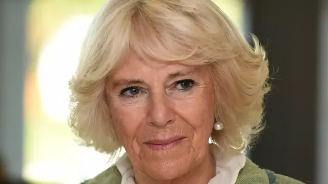 Video thumbnail for Camilla's Relationship With Prince William's Kids Is Unexpected