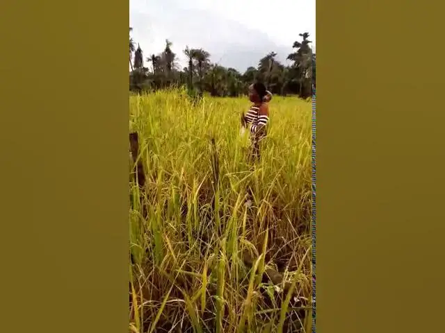Video thumbnail for Farming project in Monrovia, Liberia Part 1