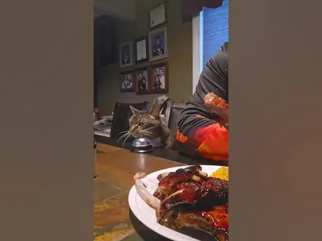 Video thumbnail for Hungry