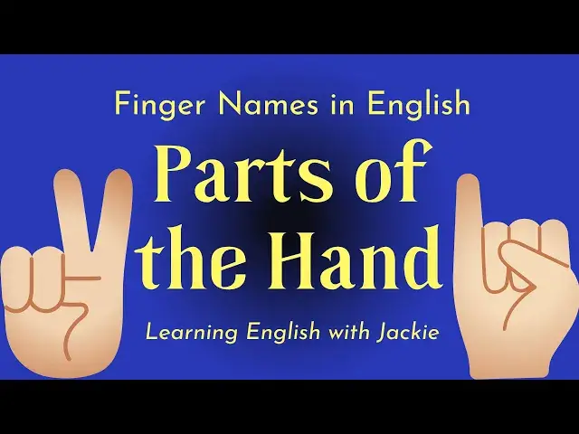 Video thumbnail for Parts of the Hand | Finger Names in English