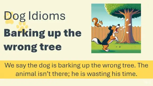 Video thumbnail for Barking Up the Wrong Tree Meaning | Common English Idiom Explained with Examples