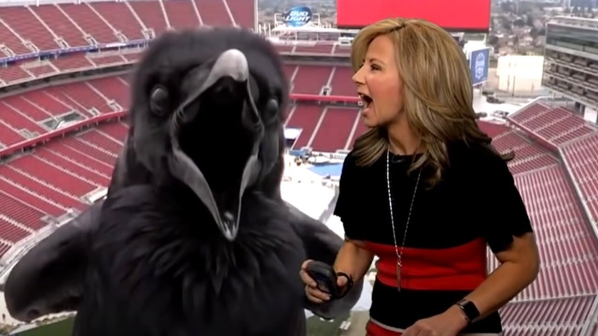 Video thumbnail for These Meteorologists Totally Lost It On Live TV