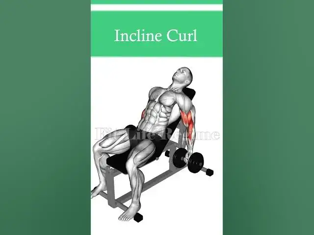 Video thumbnail for 5 Best LONG HEAD BICEP EXERCISES for Building Your Peak